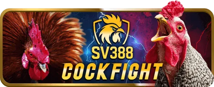 Tin tức trò chơi slot 12win